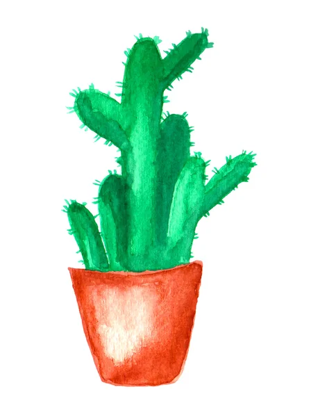 Green Cactus in pot — Stock Vector