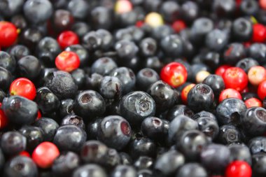 Taze yaban mersini ve kızılcık.