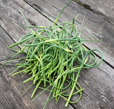 Taze sarımsak scapes