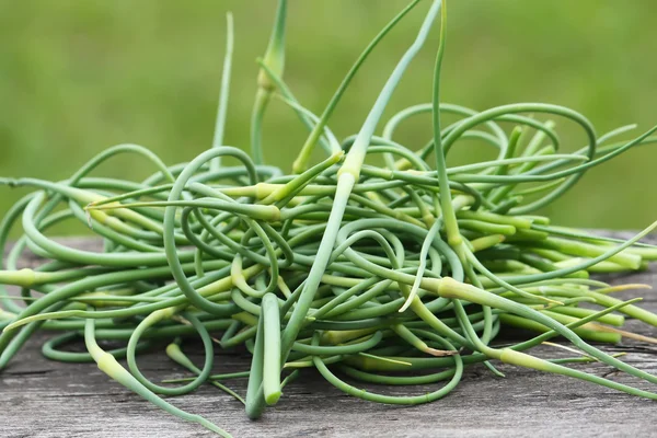 Friss fokhagyma scapes — Stock Fotó