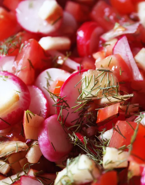 Ensalada de verduras frescas. — Foto de Stock