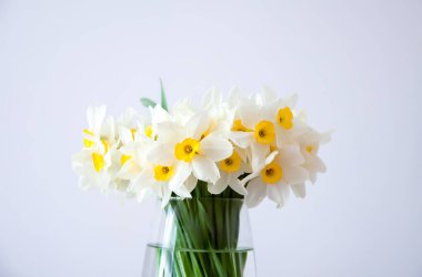 White narcissus bouquet standing in bright interior light.