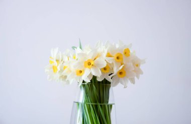 Taze nergis çiçeği. Minimum ev güzelliği ve bahar uyanışı.