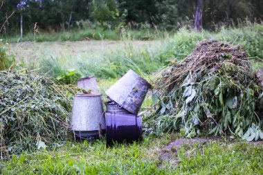 Bitkilerle dolu eski kovalar. Her gün kırsal iş ve doğa bağlantısı.