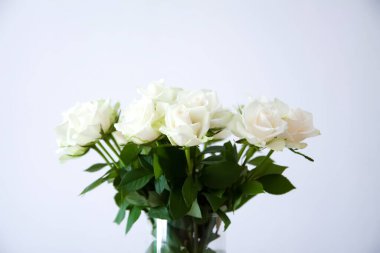 Nazik bukette saf beyaz güller. Huzurlu ve zarif bir botanik sahnesi..