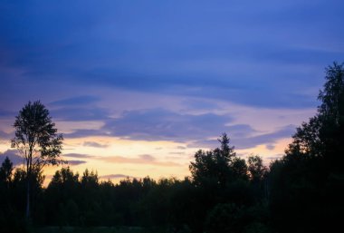 Kırsal alan. Akşam gökyüzü arka planında çıplak ağaçlar.