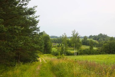 Karışık ağaçlarla çevrili kırsal bir ortam. Yazın sakin bir anı..