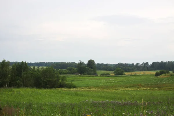 Karışık ağaçlarla çevrili kırsal bir ortam. Yazın sakin bir anı..