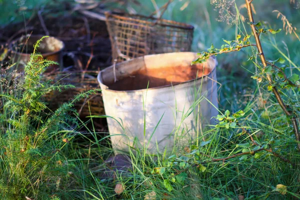 Boş bir metal konteynır ve yeşil çimlerin üzerindeki diğer çöpler..
