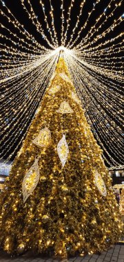 Gece vakti şehir sokakları süslenmiş bir tatil ağacını ön plana çıkarıyor. Bu an neşeyi, ışığı ve şenlikli şehir ruhunu yansıtır..