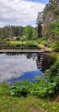 Manzaralı bir parkta güneş ışığı, suyun üzerinde parıldıyor. Sıcak ve neşeli açık hava atmosferi.