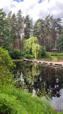 Manzaralı bir parkta güneş ışığı, suyun üzerinde parıldıyor. Sıcak ve neşeli açık hava atmosferi.