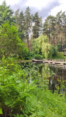 Bahar yaprakları yansıtıcı bir göleti çevrelemektedir. Huzur ve manzara güzelliği.