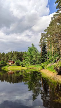 Yeşil bir bahar parkının ortasında sakin bir gölet bulunur. Denge ve huzur hissi..
