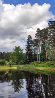 Güneş ışığı yansıtıcı park göletini çevreleyen ağaçları ısıtır..