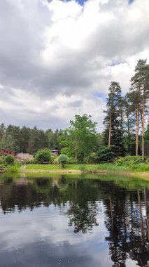 Manzaralı bir bahar manzarası su ve taze yeşillik içerir. Uyum ve doğal güzellik.