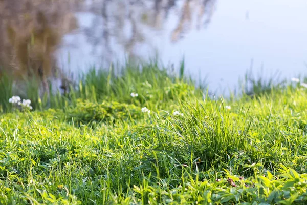Güneş ışığı yansıtıcı park suyunda parıldıyor. Sıcak ve huzurlu bir açık hava..