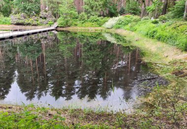 Huzurlu bir gölet bir bahar parkında gökyüzünü yansıtır. Dinginlik ve açık alan.