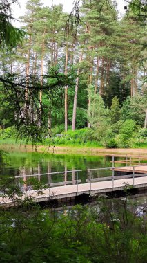Huzurlu bir park sahnesi bahar büyümesiyle çevrili suyu gösteriyor.