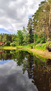 Taze bahar bitkileri ve ağaçlar sakin bir suyu çevrelemektedir. Canlılık ve açık hava sükuneti.