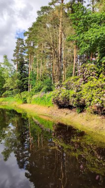 Sıcak bir gün manzaralı bir park göletini aydınlatıyor..