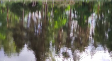 Taze yeşillik gölün yüzeyinde usulca yansıyor..