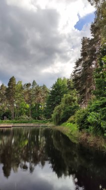 Durgun su, ilkbahar ortamındaki parlak ağaçları yansıtır. Denge ve doğal sakinlik.