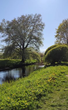 Havuzu olan güneşli bir bahar parkı sessiz bir yürüyüşe davet eder..