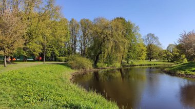 Havuzu olan güneşli bir bahar parkı sessiz bir yürüyüşe davet eder..