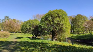 Yeşil ağaçlar ve çayırlar manzaralı bir bahar manzarası yaratır. Uyum ve açık hava rahatlığı.