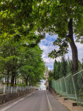 Jurmala 'da bir yaz sokak sahnesi. Güneşli bir hava ve kasabanın enerjisi..