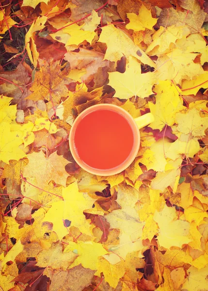 Tasse Tee mit Herbst-Ahornblättern. — Stockfoto