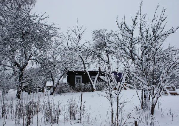 Vinterlandskap med trädgård träd. — Stockfoto