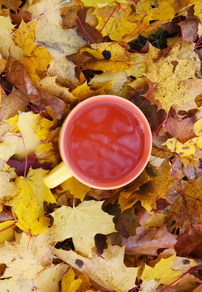 Filiżanka herbaty z liści klonu jesienią. — Zdjęcie stockowe