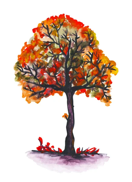 Watercolor autumn tree — Stock Photo, Image