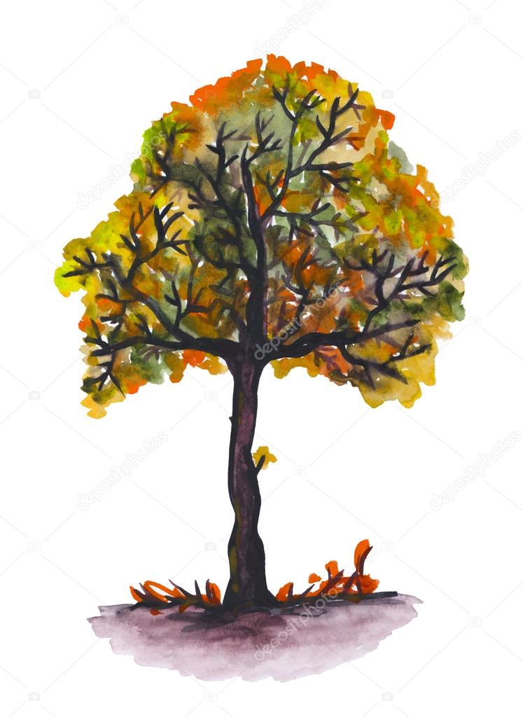 Watercolor autumn tree