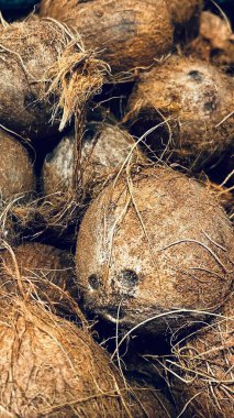 Ham kahverengi kabuklu ve doğal lifli hindistan cevizlerinin yakın çekimi. Tropikal meyve dokusu, organik ham hindistan cevizi, doğal gıda ve tarım kavramı.