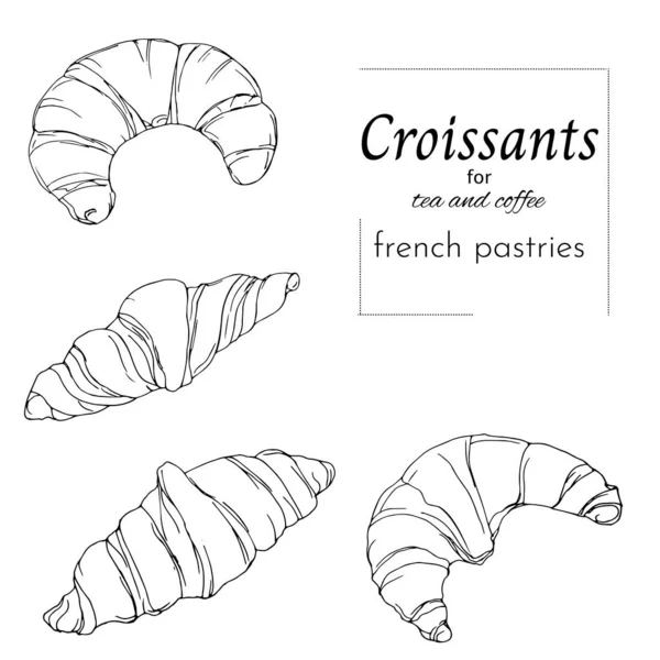 Conjunto Croissants Cortados Sobre Fondo Blanco Vector Blanco Negro Dibujado — Archivo Imágenes Vectoriales