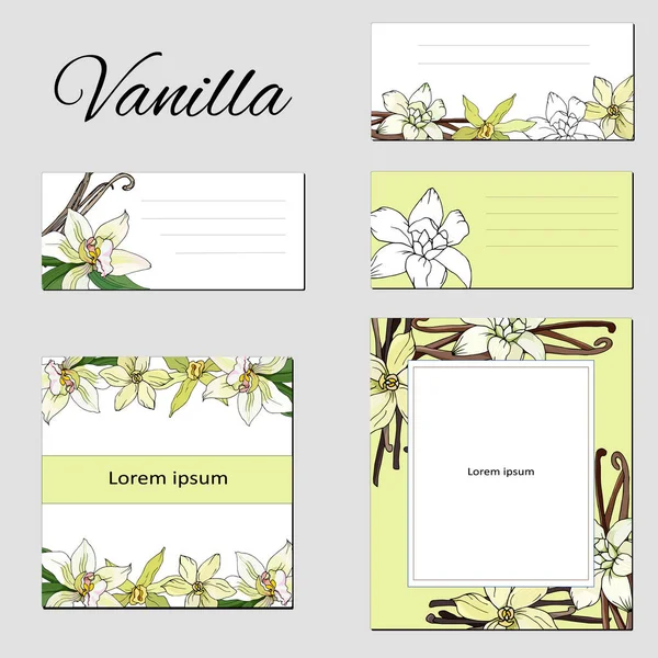 Conjunto Floral Marcos Texto Con Flores Vainilla Tarjetas Visita Pancartas — Vector de stock