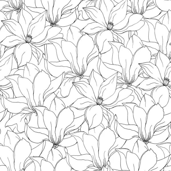 Black White Floral Background Magnolia Lily Flowers Hand Drawn Vector Stock Vector