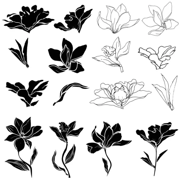 Набір Чорно Білих Лілій Магнолії Ванільних Квітів Колекція Чорних Контурів — стоковий вектор