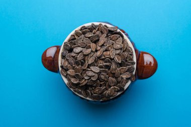 Mavi arka planda kil kapta karpuz tohumları. Karpuz tohumları arka planda.