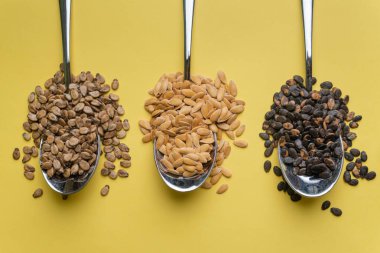 Sarı arka planda karpuz, balkabağı ve kavun tohumları. Farklı tohum türleri, üst görünüm. Tohumlar.