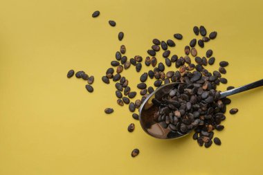 Sarı arka planda karpuz tohumları, üst görünümde. Karpuz tohumları arka planda.