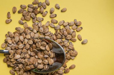 Sarı arka planda karpuz tohumları, üst görünümde. Karpuz tohumları arka planda.