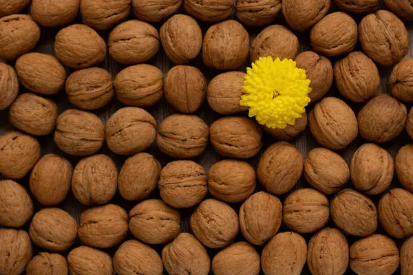 Walnusskerne Und Gelbe Blüten Auf Einem Hölzernen Hintergrund Gesunde Ernährung — Stockfoto