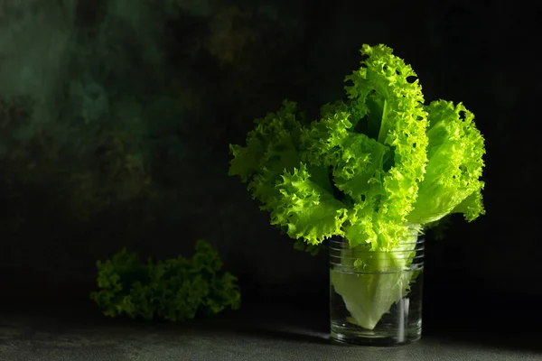 Salatblätter Glas Auf Dunklem Hintergrund Hintergrund Des Ernährungskonzepts Minimalismus Horizontale — Stockfoto