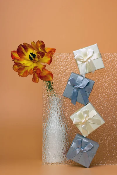 Trendy composition of gifts, tulip and glass.The concept of holidays and wishes. Banner, flyer, postcard with copy space. Greeting card for women's Day on March 8.