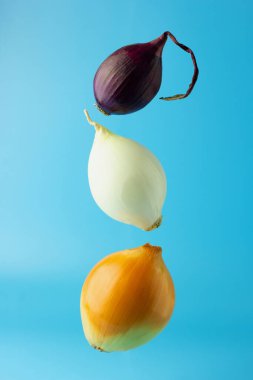 Three different types of onions: yellow onion, white onion and red onion  on a blue background. Equilibrium food balance. Horizontal view with copy space. clipart