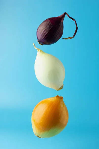 Three different types of onions: yellow onion, white onion and red onion  on a blue background. Equilibrium food balance. Horizontal view with copy space.